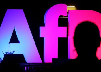 Las autoridades alemanas consideran a AfD como «caso seguro de extremismo de derechas»