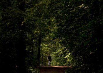 Estar 20 minutos en el bosque reduce el estrés, según un estudio de científicos austriacos