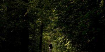 Estar 20 minutos en el bosque reduce el estrés, según un estudio de científicos austriacos