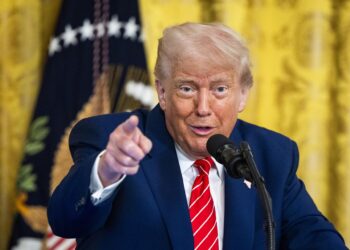 Trump dice que la ciudadanía por nacimiento se aprobó para «los hijos de los esclavos»