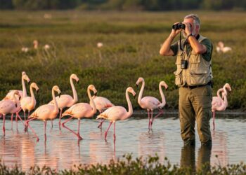Espacios Compartidos: Cómo crear ciudades amigables con las aves en el Día Mundial de las Aves Migratorias