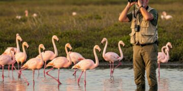 Espacios Compartidos: Cómo crear ciudades amigables con las aves en el Día Mundial de las Aves Migratorias