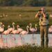 Espacios Compartidos: Cómo crear ciudades amigables con las aves en el Día Mundial de las Aves Migratorias