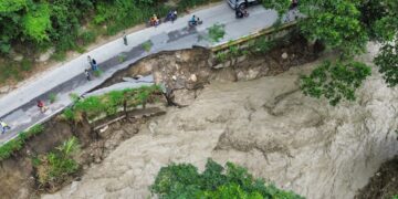 Timotes | Cosechas de hortalizas “están de sacarlas ya” pero no hay vialidad para distribuirla al país