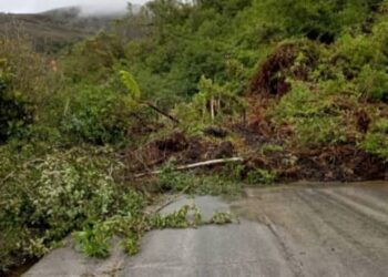 Boconó | Deslizamiento de tierra obstruye el paso en Estichó