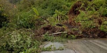 Boconó | Deslizamiento de tierra obstruye el paso en Estichó
