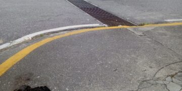 Piden retirar zamuros muertos de los alrededores del Hospital de Boconó 