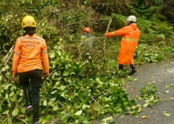 Lluvias moderadas: Despejan varias vías en Boconó 
