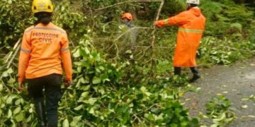 Lluvias moderadas: Despejan varias vías en Boconó 