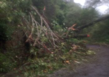 Deslizamiento de tierra obstruye paso a la Laguna de los Cedros