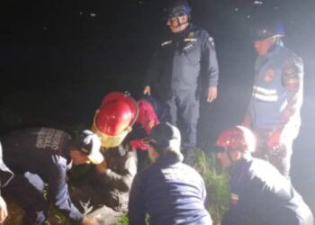 Arrollan a un hombre en Los Pantanos de Boconó 