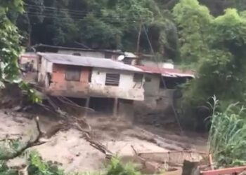 Destrucción ecológica ha incrementado daños por las lluvias en Boconó
