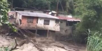 Destrucción ecológica ha incrementado daños por las lluvias en Boconó