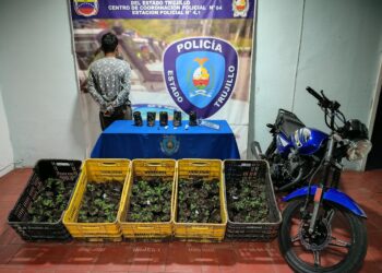 Arrestan a hombre con varias plantas de marihuana en Boconó 