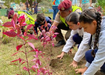 Reforestación en Trujillo: avances y desafíos de una meta verde
