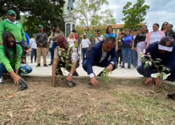Sembradas 520 plantas en la Plaza Cristóbal Mendoza por el Día Mundial del Medio Ambiente