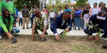Sembradas 520 plantas en la Plaza Cristóbal Mendoza por el Día Mundial del Medio Ambiente