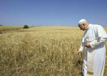 El papa aprueba decretos para beatificar 124 andaluces asesinados en la Guerra civil