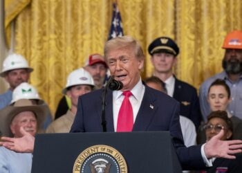 Trump clama victoria tras fallo del Supremo a favor de su orden para limitar la ciudadanía