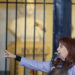 Supremo de Argentina deja en firme la condena a seis años de prisión de Cristina Fernández