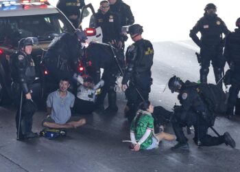 “Qué vergüenza”, grito unísono de los manifestantes en Los Ángeles por redadas migratorias