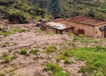 Crónica | Niquitao y Las Mesitas: la mudanza de los momoyes y sus huellas de destrucción