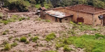 Crónica | Niquitao y Las Mesitas: la mudanza de los momoyes y sus huellas de destrucción