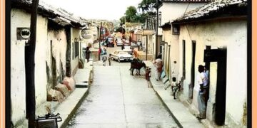 El caletero valerano que casi se hizo millonario  | Por: Alfredo Matheus 