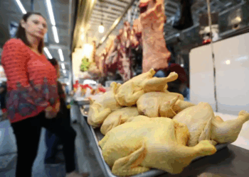Gobierno anunció precios acordados para pollo, huevos y grasas tras supuesta especulación