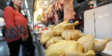 Gobierno anunció precios acordados para pollo, huevos y grasas tras supuesta especulación