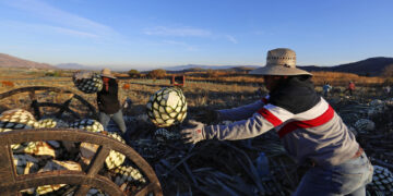 Los migrantes indocumentados en EEUU: fuente de impuestos, empleos y masa de consumidores