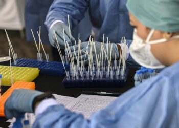 Colegio de Médicos de Zulia alertó por nueva variante del covid-19