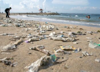 Cinco graves desafíos para entender el por qué del Día del Medio Ambiente: #SinContaminaciónPorPlásticos