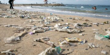 Cinco graves desafíos para entender el por qué del Día del Medio Ambiente: #SinContaminaciónPorPlásticos