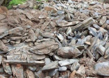 Comunidades asiladas por las lluvias en Boconó: «Necesitamos alimentos y medicinas»