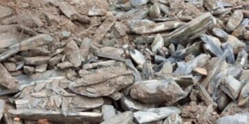 Comunidades asiladas por las lluvias en Boconó: «Necesitamos alimentos y medicinas»