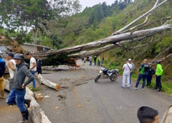 Abren paso en dos vías del municipio Boconó 