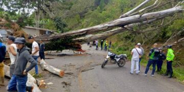 Abren paso en dos vías del municipio Boconó 