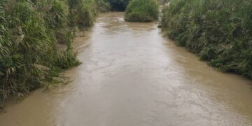 Trujillo | Productores del municipio La Ceiba insisten en solicitar canalización del río Motatán