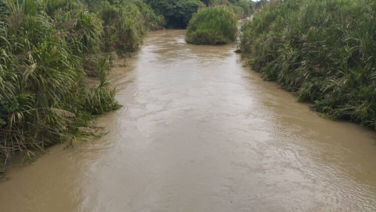 En Puente Blanco vía al Tres de Febrero se puede observar el volumen de las aguas del rio Motatán.