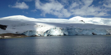 Un nuevo mapa de la Antártida identifica más de 300 redes de cañones submarinos