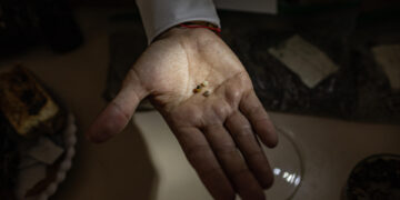 Pedalear una bicicleta para tamizar plástico, el proyecto que busca limpiar playas en el Lago de Maracaibo