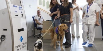 Terapeutas de cuatro patas en España para menores con conductas autolesivas y suicidas