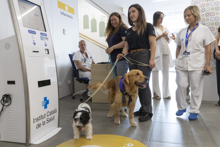 El Hospital Vall dHebron de Barcelona ha presentado este viernes su tratamiento para trastornos de salud mental en niños y adolescentes a través de terapia asistida con perros, unos animales que les ayudan a relacionarse y regular emociones durante su ingreso. EFE/Marta Pérez