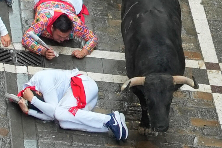 Primer encierro de toros de los sanfermines de Pamplona, la fiesta española más internacional. EFE/ Ainhoa Tejerina