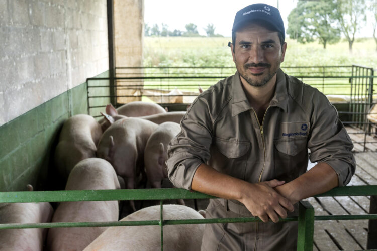 Fotografía cedida por Biogénesis Bagó del gerente de Marketing Estratégico de la División Porcinos de Biogénesis Bagó, Facundo Romero, posando en una granja porcina en Castelli (Argentina). EFE/ Biogénesis Bagó