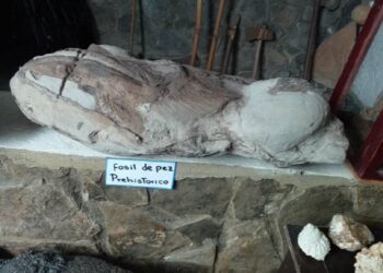 Vivir para contarlo. El día que decidí explorar la historia natural de la humanidad / Por Pedro A. Hernández V.