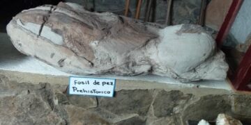 Vivir para contarlo. El día que decidí explorar la historia natural de la humanidad / Por Pedro A. Hernández V.