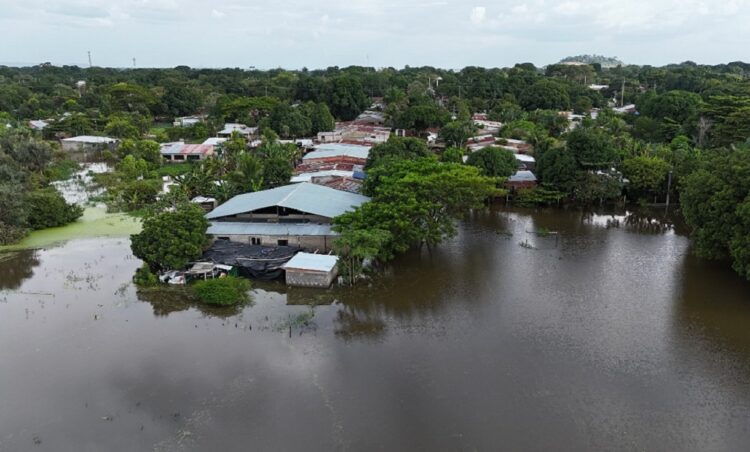 La crecida del río Orinoco ha provocado pérdidas de miles de hectáreas de cultivos en varios estados| Foto Archivo