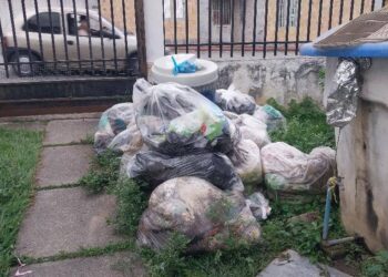 TRUJILLO | Vecinos denuncian proliferación de moscas y gusanos por acumulación de basura en Las Acacias